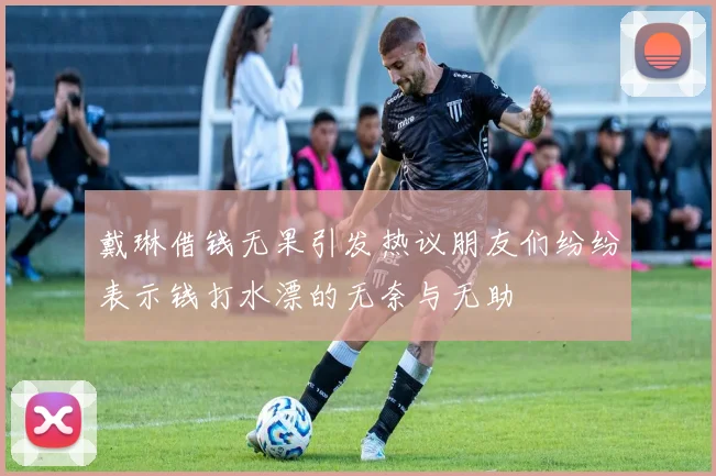 戴琳借钱无果引发热议朋友们纷纷表示钱打水漂的无奈与无助