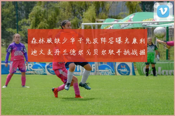 森林狼缺少华子先发阵容曝光康利迪文麦丹兰德尔戈贝尔联手挑战掘金
