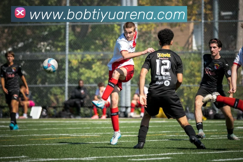 BOB体育发展历程